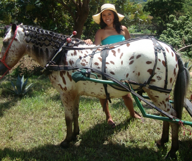 Rutas a caballo a caballo